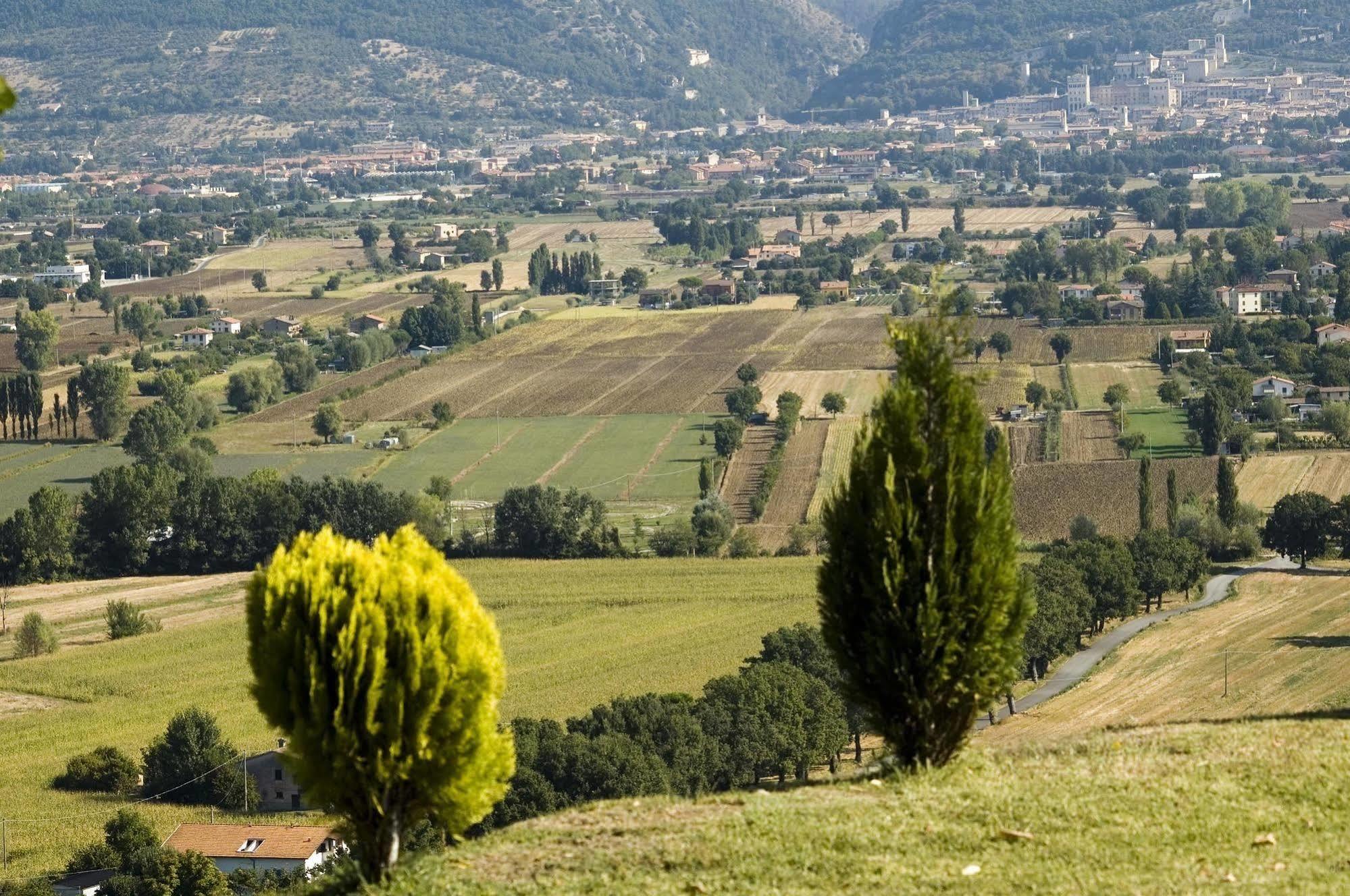Azienda Agraria Montelujano Gubbio Exterior foto